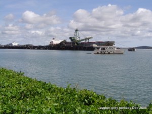Coal Loader Wharf, just behind the marina